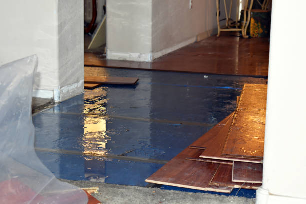 Professional Water Damage technician working in White Cloud, MI