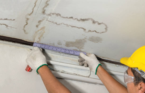 Reliable Water Damage contractor in White Cloud, MI by Water Damage Irwin
